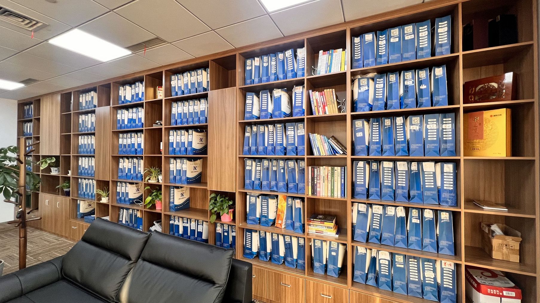 为什么选择崇明建数字孪生总部？